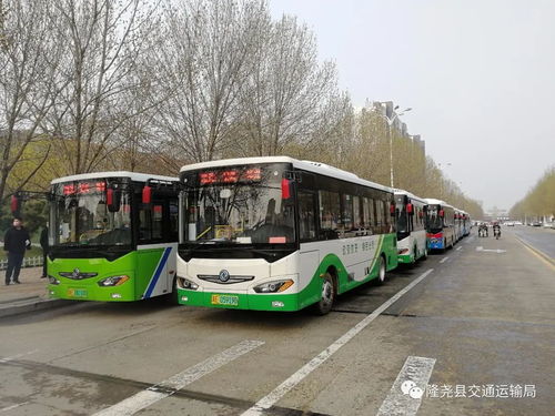我縣道路旅客運(yùn)輸基本恢復(fù)運(yùn)行 道路旅客運(yùn)輸站經(jīng)營(yíng)穩(wěn)步推進(jìn)